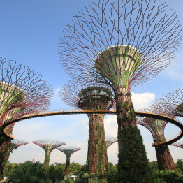 Australia-Singapur-Tour